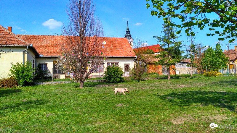 Kolbász is terem a tojásfán?