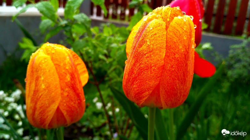 Pár csepp eső volt