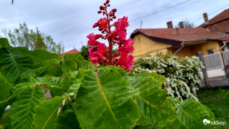 Most nyílik pontosan