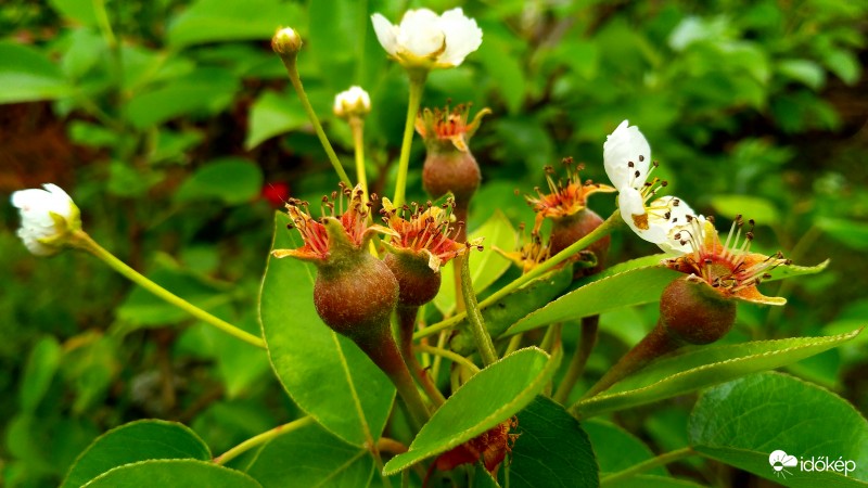Valamelyik csak beérik!