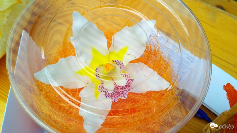 Orchidea cukorból