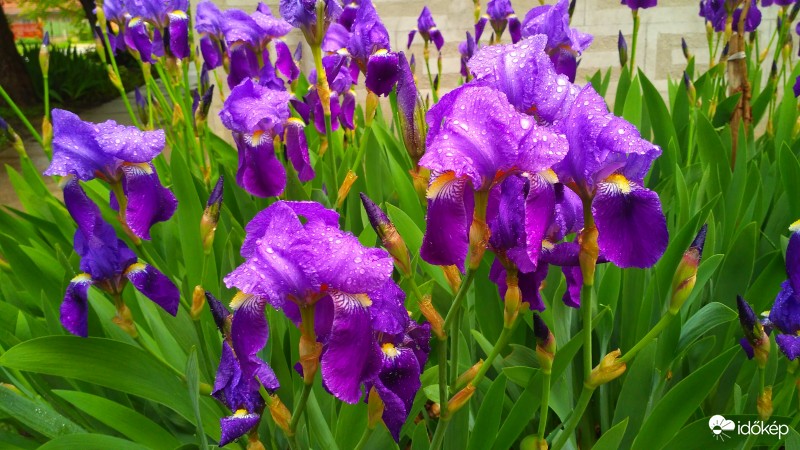 Ma reggeli szépségek