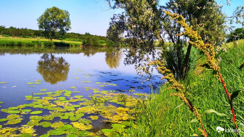 Kinyílik a vizitök