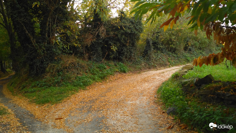 Két út áll előttem