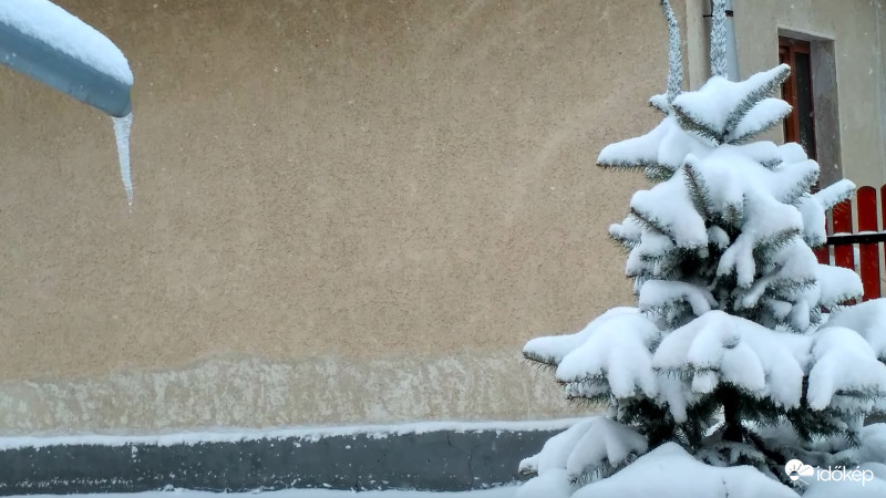 Sándorok ajándéka