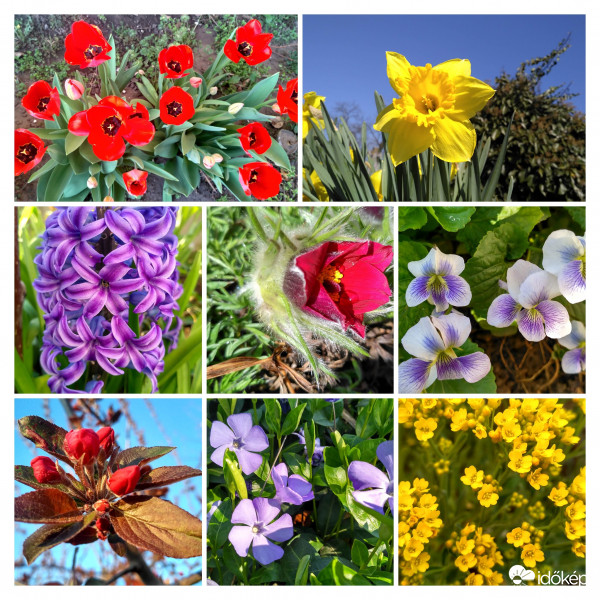 #Maradj Otthon kiskertemben 1.