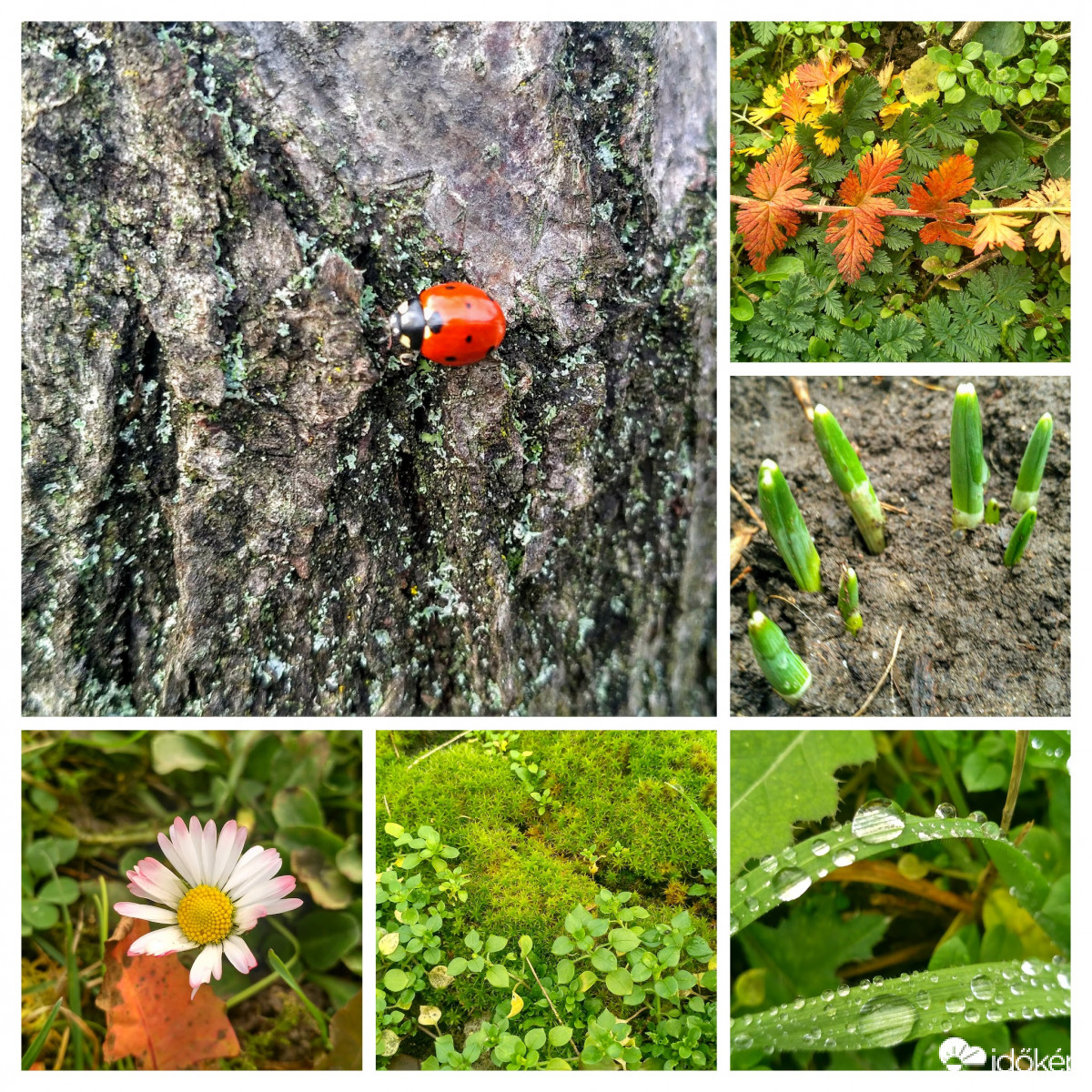 Mintha nem is december lenne