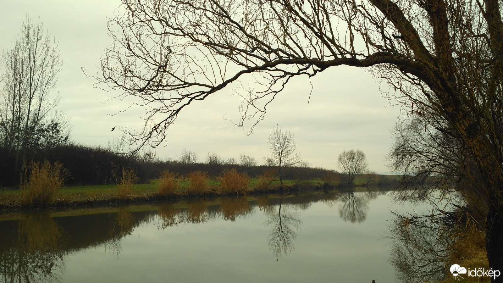 Derűsebb, boldog új évet kívánok!