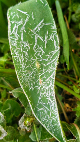 Fagyos reggelre ébredtünk