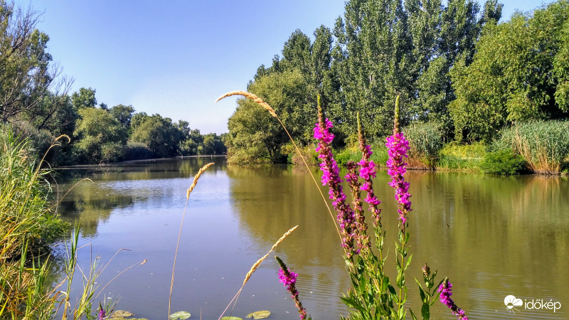 Napos időben