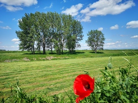 Jászjákóhalma Tarna part