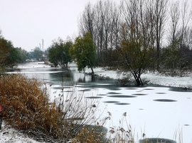 csneeva fotója