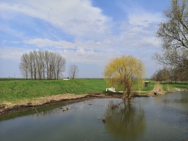 Horgásztó 