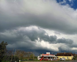 csneeva fotója