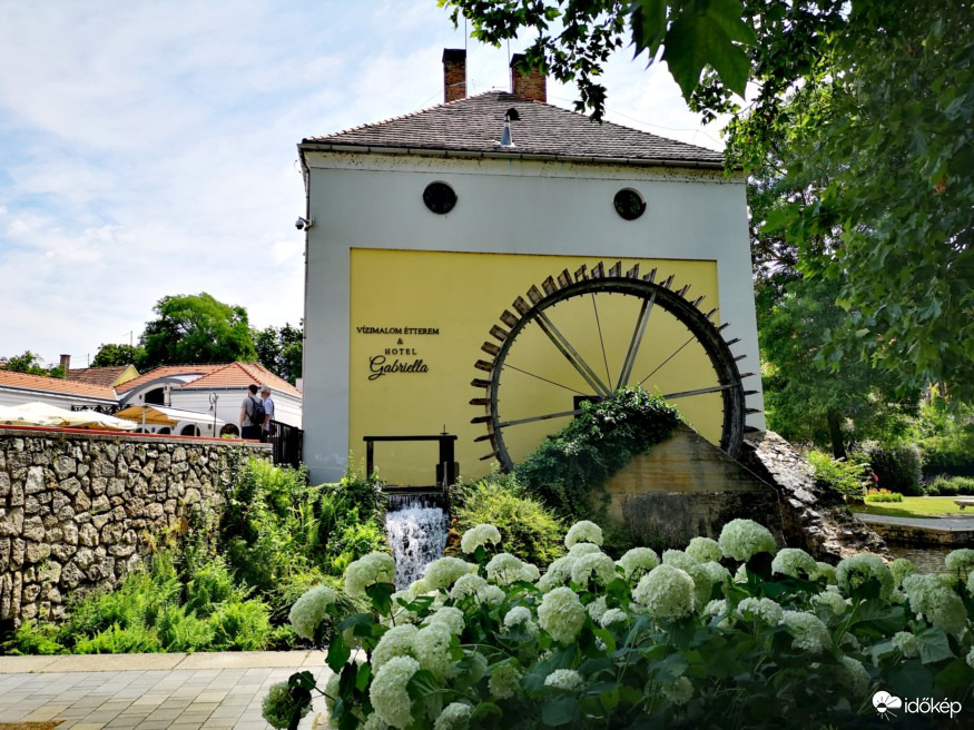 Hotel Gabriella bugás hortenziákkal