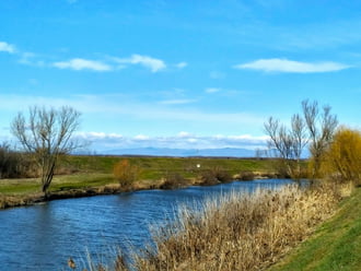 Tavaszt idéző természet, szeles februári napon