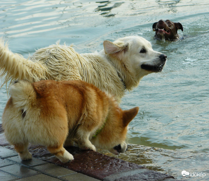 Bátorság fiúk, nem oly hideg már...