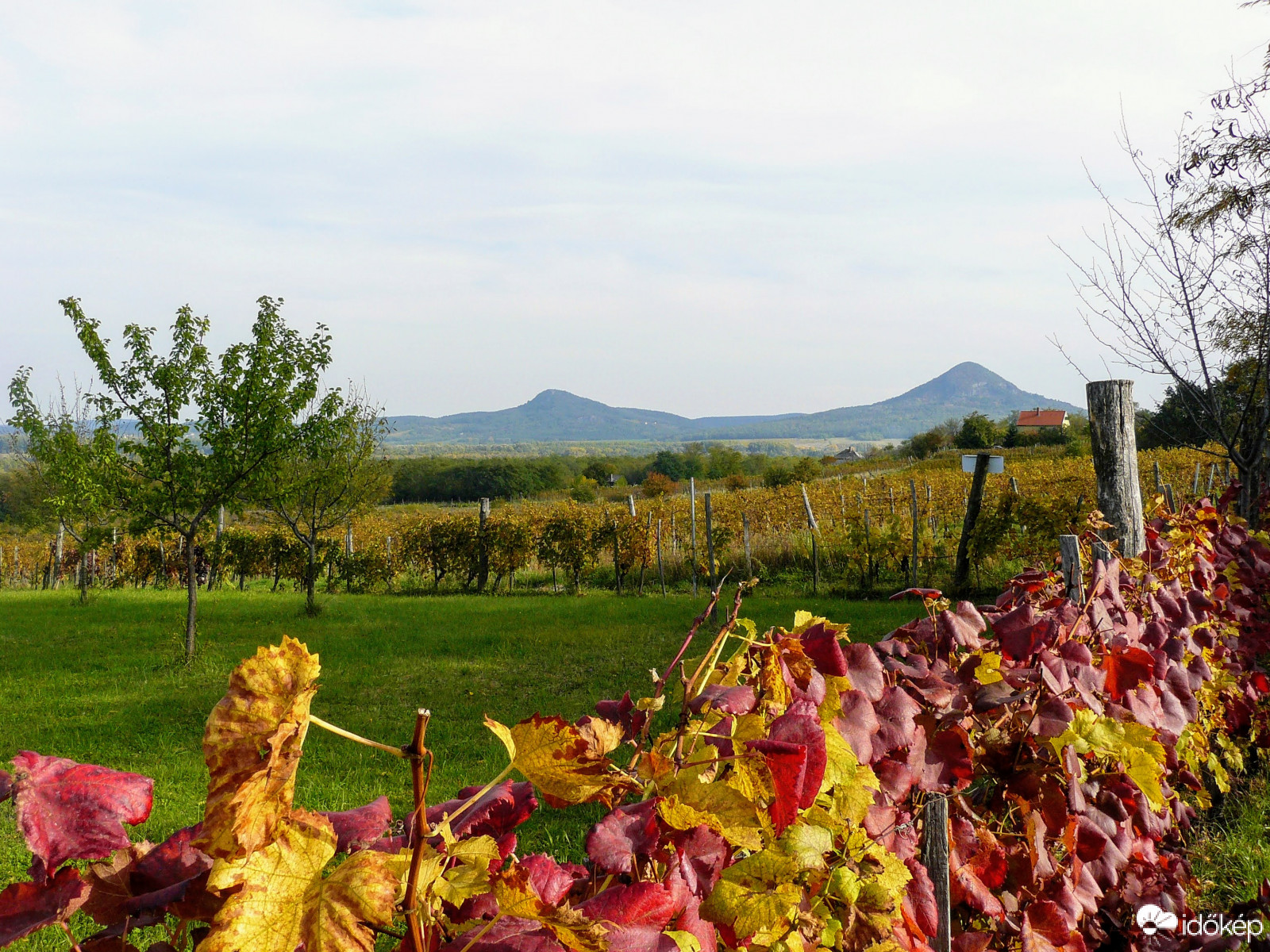 Gulács és Tóti-hegy
