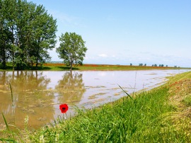 Tarna part esőzések után