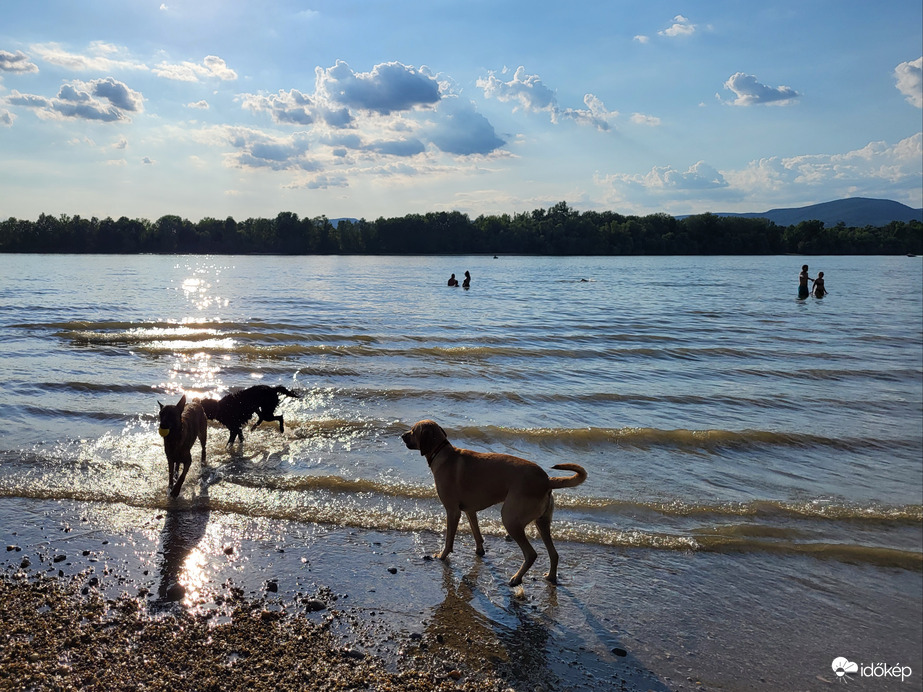 Dunakeszi, kutyás strand 