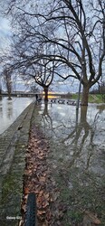 Győr
