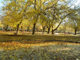 Őszi park a játszótéren