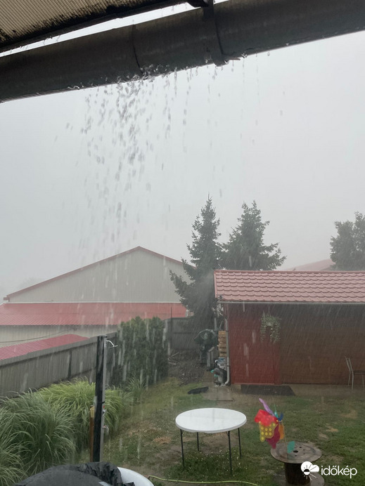 Gyöngyöstarján