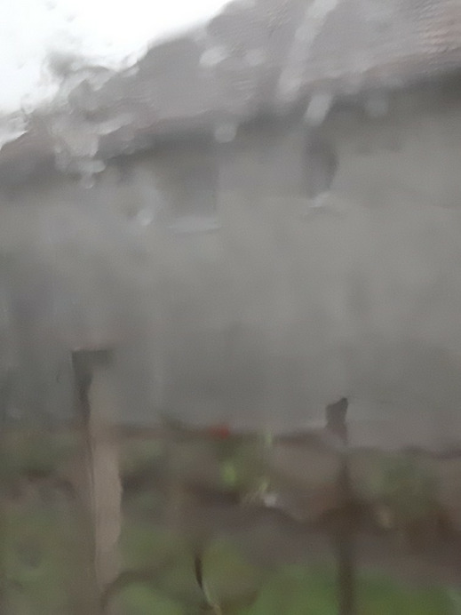 Sükösd