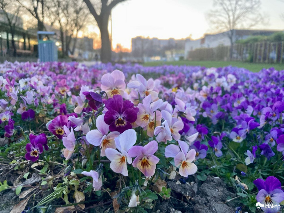 Budapest IV.ker - Újpest