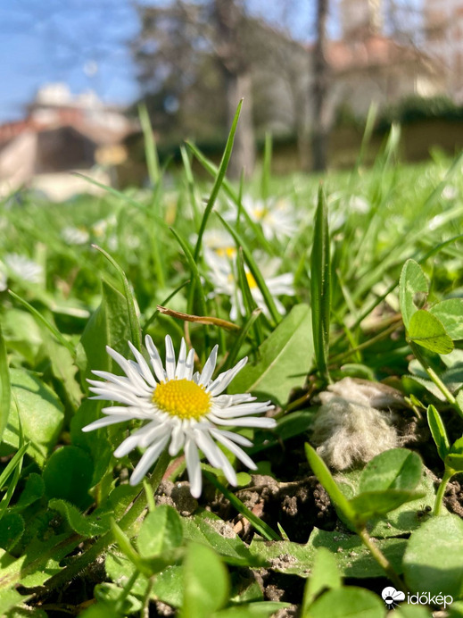 Budapest IV.ker - Újpest