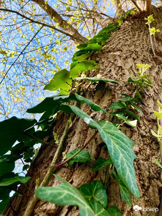 Budapest IV.ker - Újpest