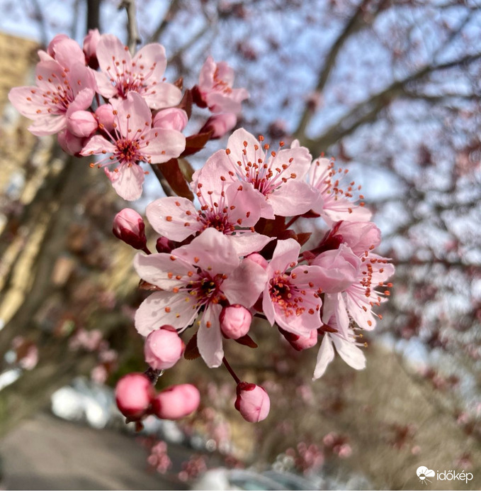 Budapest IV.ker - Újpest