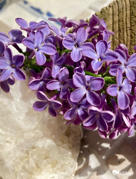 Budapest IV.ker - Újpest