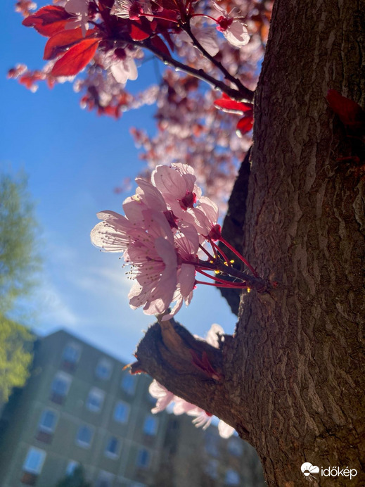 Budapest IV.ker - Újpest