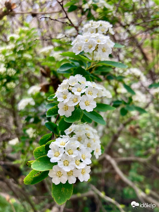 Budapest IV.ker - Újpest