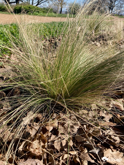 Budapest I.ker - Tabán