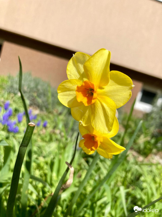 Budapest IV.ker - Újpest