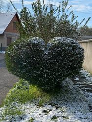 Bölcske