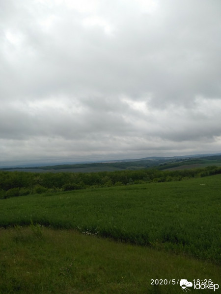 Nagyveleg