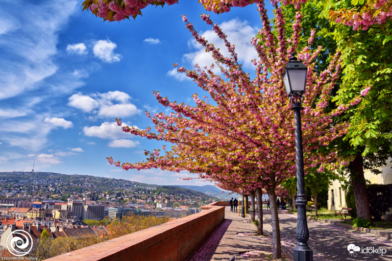 Budapest