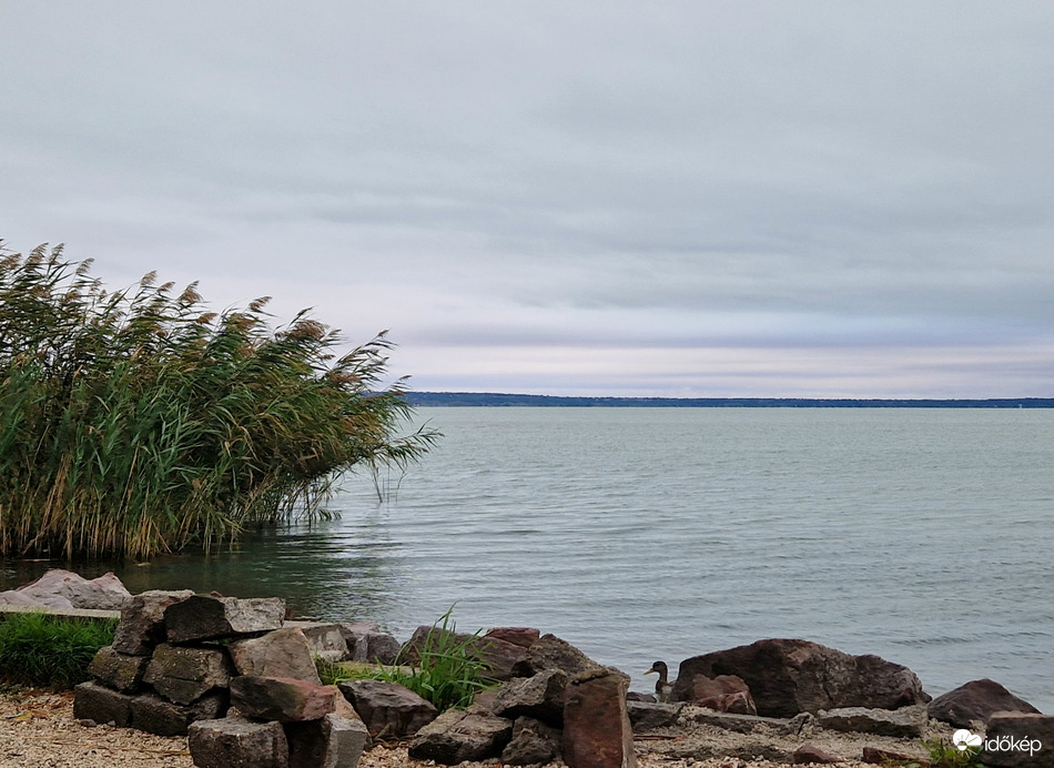 Balaton
