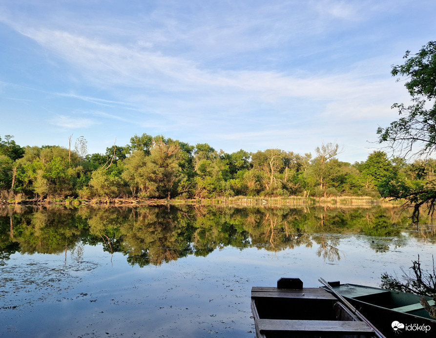 Tőserdő Holt Tisza 