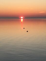 Balatonfüred