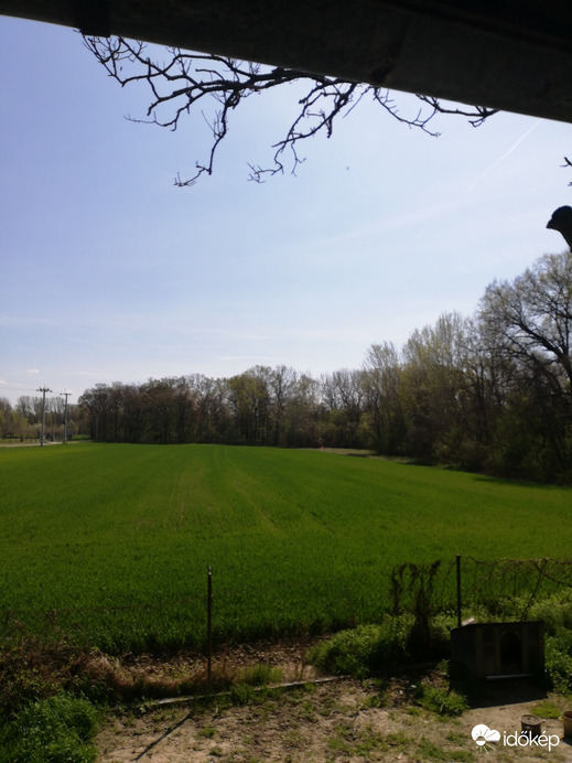 Szigetbecse