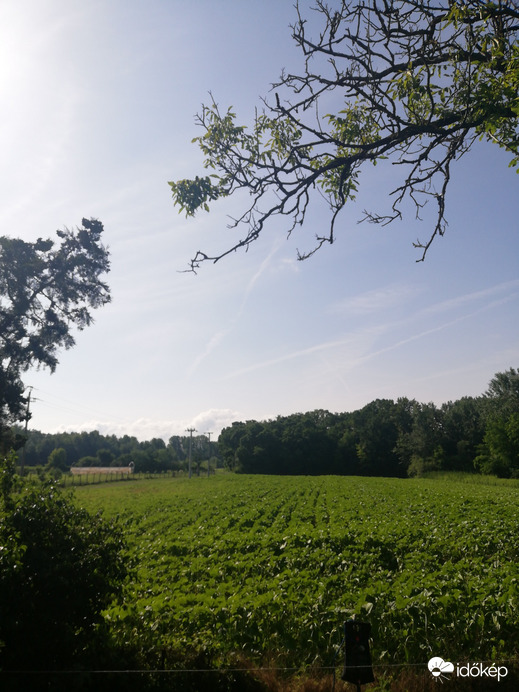 Szigetbecse