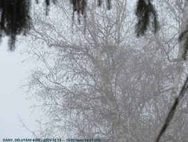 Dány_délutáni köd