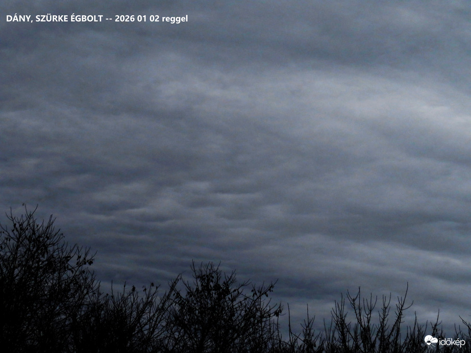 DÁNY_szürke reggel