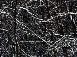 DÁNY, HAVAS ERDŐ (részlet)