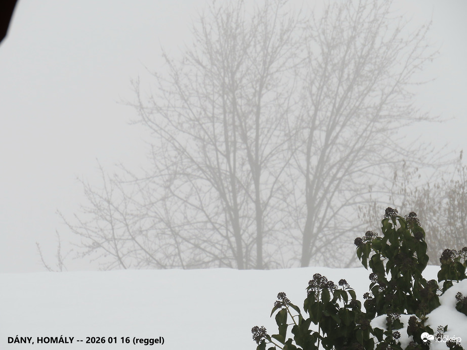 DÁNY,  KÖDÖS REGGEL -- 2026 01 16 reggel