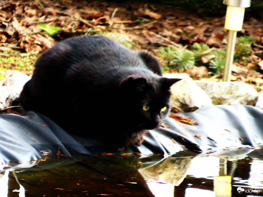 SAFIKA HALAT EBÉDELNE -- 2026 02 07 délidő